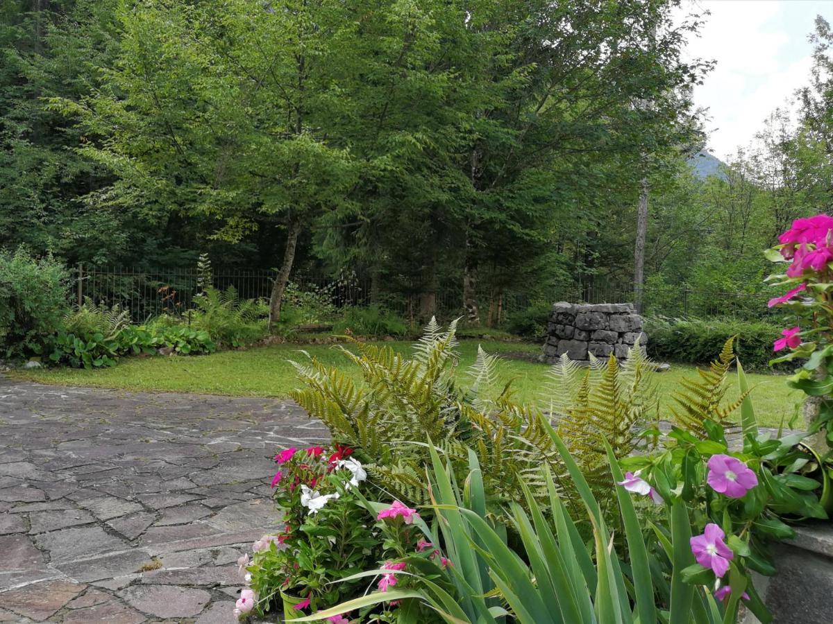 티오네 디 트렌토 Chalet Ai Monti Di Zuclo - Tione 빌라 외부 사진